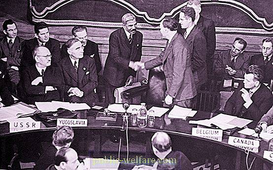 Commissione per i diritti umani delle nazioni unite