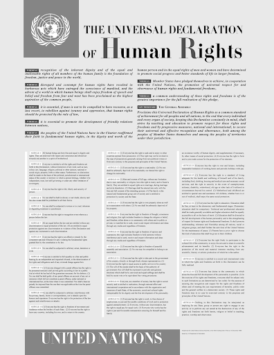 Carta internazionale dei diritti umani